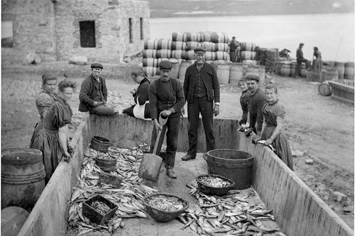 People cure herrings in Downings, Rosapenna, County Donegal