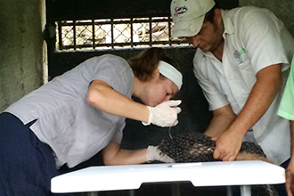 Kimberly Micotto at wildlife rescue in Guatemala Kimberly Micotto at wildlife rescue in Guatemala