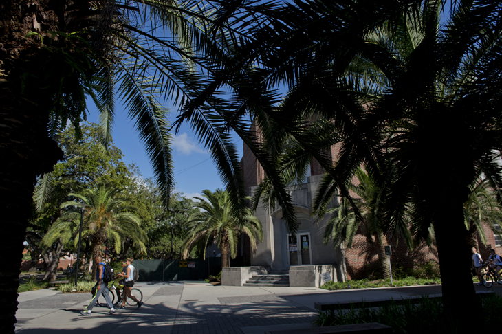 Palm trees