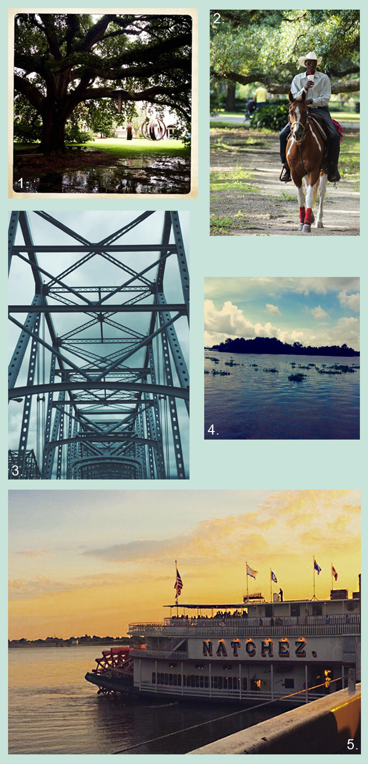 2015 photo contest winners 2015 photo contest winners