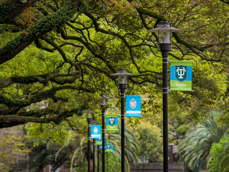A Message from the President A Plan for Tomorrow Tulane News