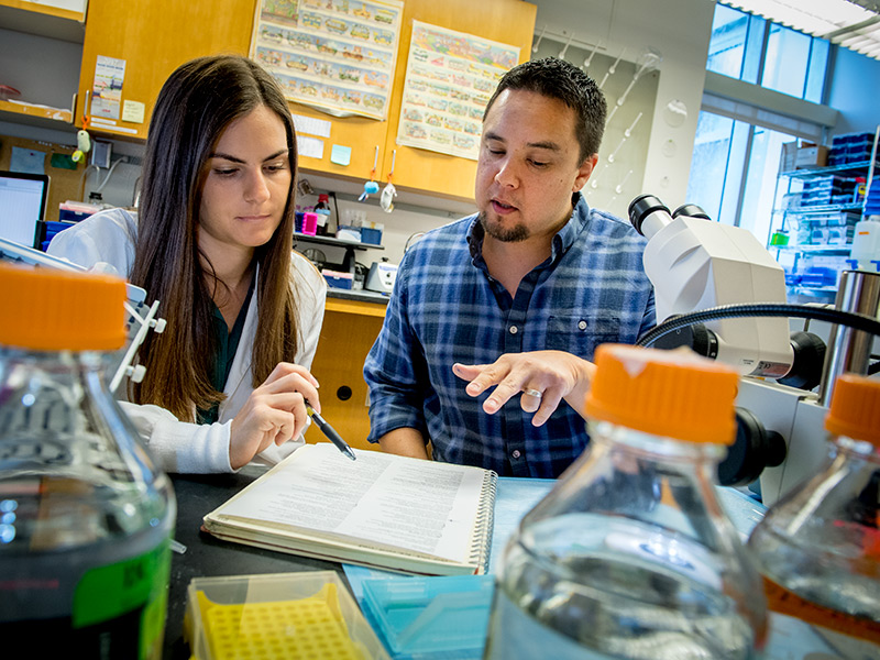 Tulane cell and molecular biology professor, Stryder Meadows (right), and graduate student, Angela Crist (left), analyze data from their study on genes that play a major part in arteriovenous malformations formation. (Photo by Paula Burch-Celentano)