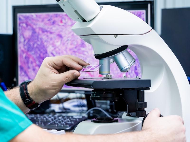 Lab tech analyzes tissue sample