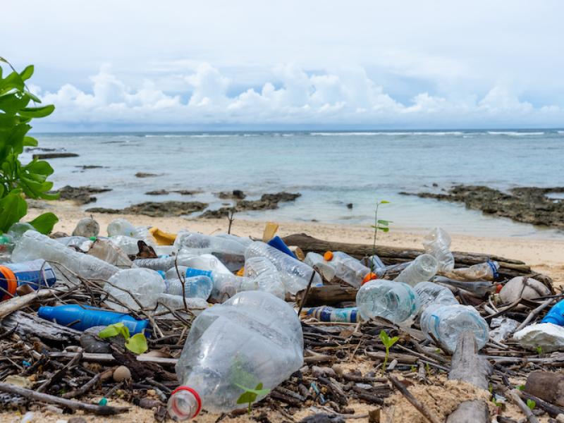 Marine plastic pollution research