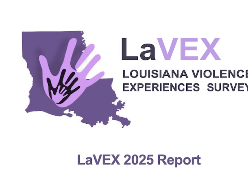 LaVEX 2025 Report