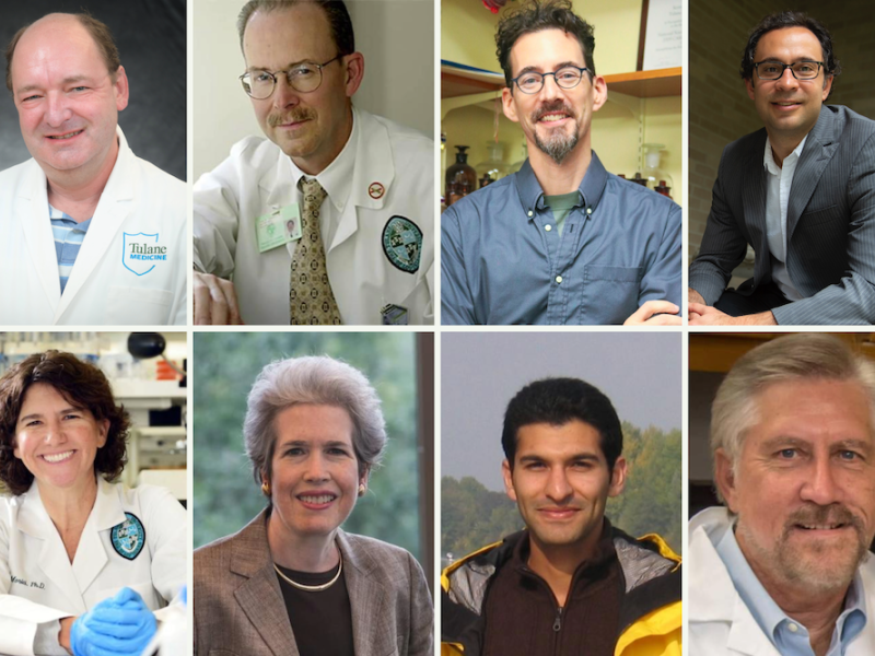 Matthew E. Burow, John D. Clements, Scott M. Grayson, Michael J. Moore, Lisa Morici, Kim C. O'Connor, Noshir S. Pesika, James E. Zadina