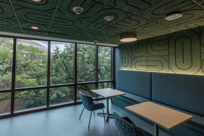 study space with tree view