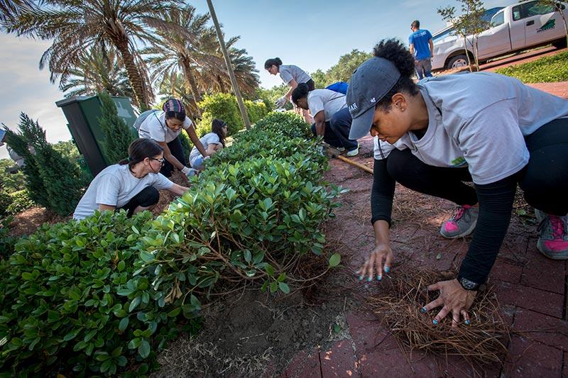 More than 600 Tulane staffers from the New Orleans, North Shore and Mississippi campuses volunteered to spread out across the region and help local non-profits for the Wave of Green Day of Service.