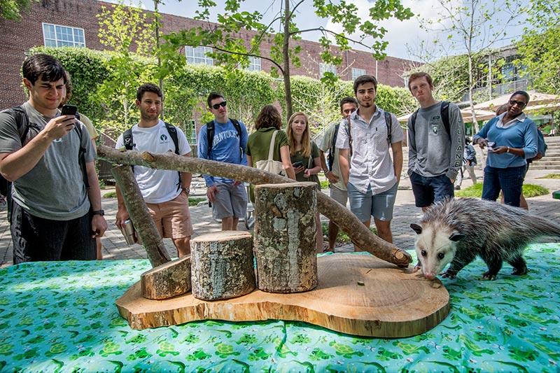 Earth Day celebrations kick off in Pocket Park.