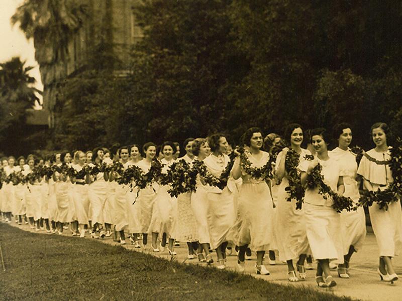 Newcomb Daisy Chain tradition Newcomb Daisy Chain tradition