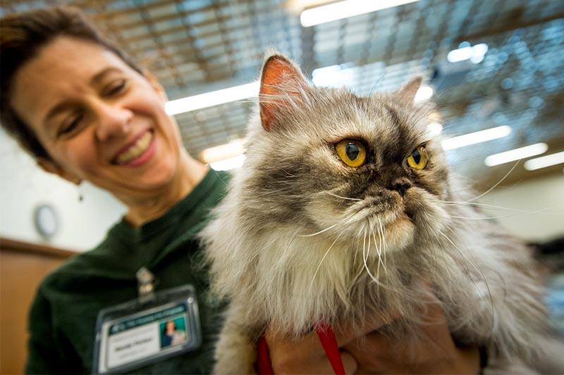 Several dogs and a cat with the Louisiana SPCA Visiting Pet Program participated in an hour-long meet-and-greet with students, faculty and staff at the Tulane School of Social Work.