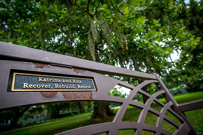 Benches surround the Labyrinth, each with a special dedication. The Labyrinth in Audubon Park is a space for relaxation and contemplation.