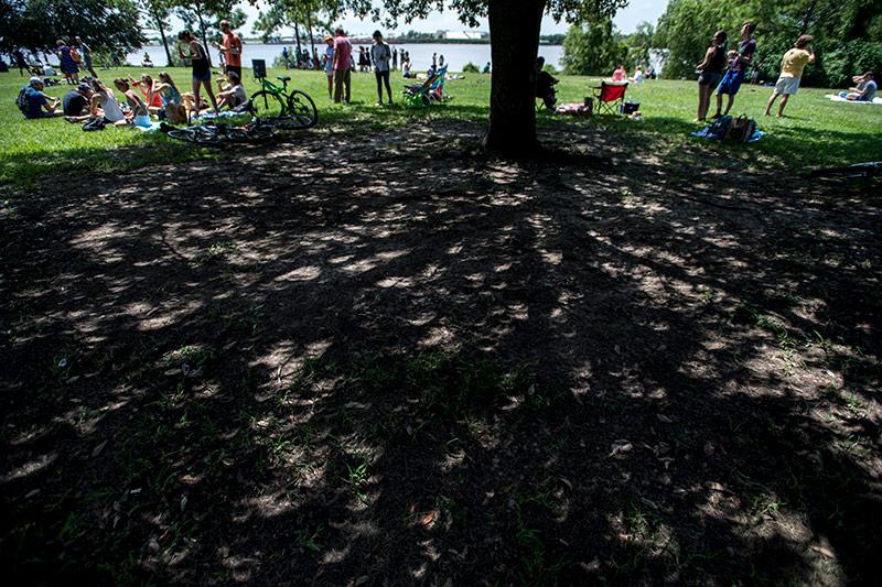 During the astronomical event, tree leaves cast crescent-shaped shadows. Locals are captivated by the awe-inspiring solar eclipse.