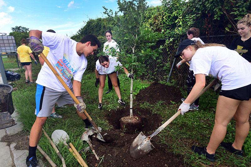 First-years students Eddie Moy, Lindsey Segal, Jessica Powers, and Shaela Burkert, foreground, left to right, plant a tree in the Hollygrove Rain Garden. Students participate in the 28th annual Outreach Tulane.
