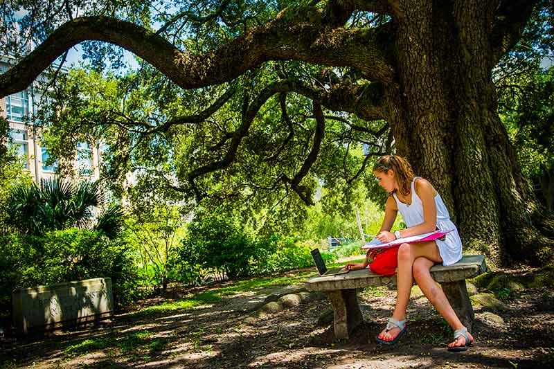 One of Tulane’s live oak trees on the J. Bennett Johnston Quad provides a shady spot for sophomore Lily Taft to study for her macro-economics class.