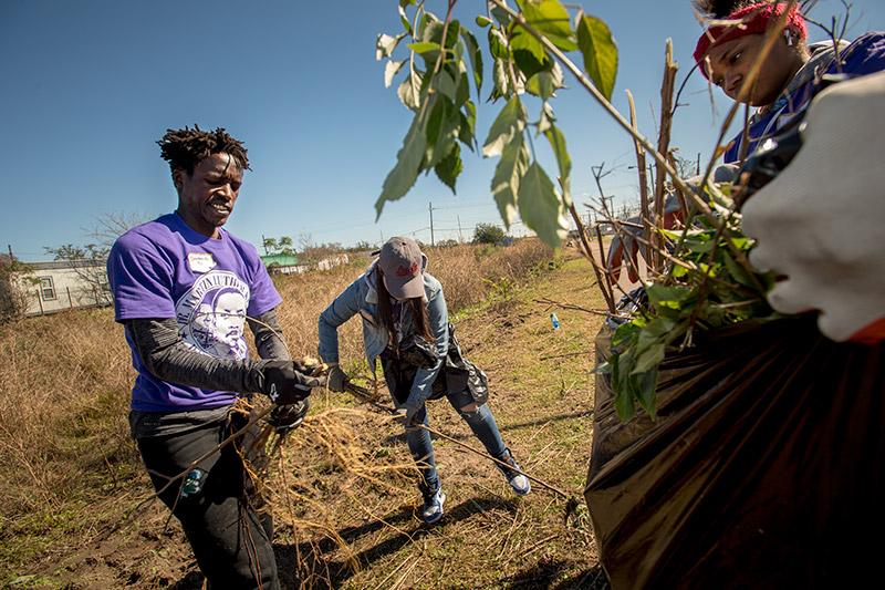 Tulane senior Emmanuel Rotich, left, AngelyssVasquez, center, a first year student at Loyola, UNO first-year student Kepriany Riley, right, and Tulane first-year student Dorian Williams, far right, bag weeds along Lafitte Greenway in lower Mid-City. Students volunteer for MLK Day of Service.