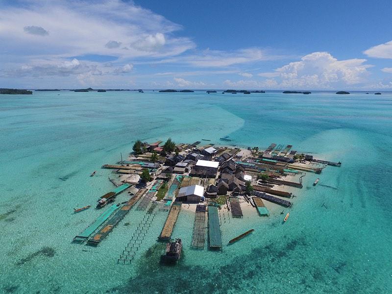 World's coastal wetlands and coral reef islands face urgent sea