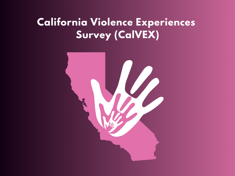 California IPV Report