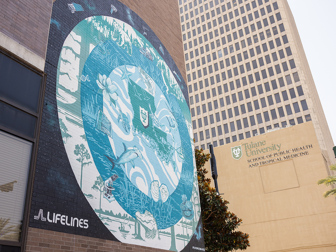 Rings of Ecology: Louisiana Explored, a mural on the side of Saratoga Garage, with the School of Public Health and Tropical Medicine in the background