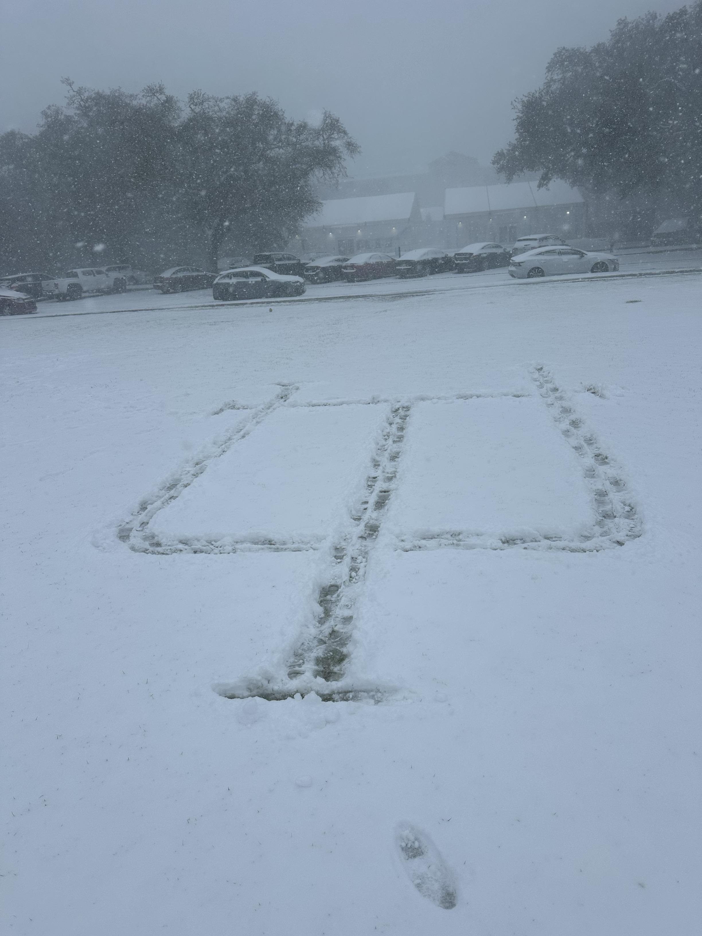 Tulane logo in snow 