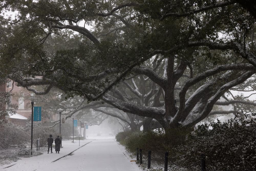 Snowy campus