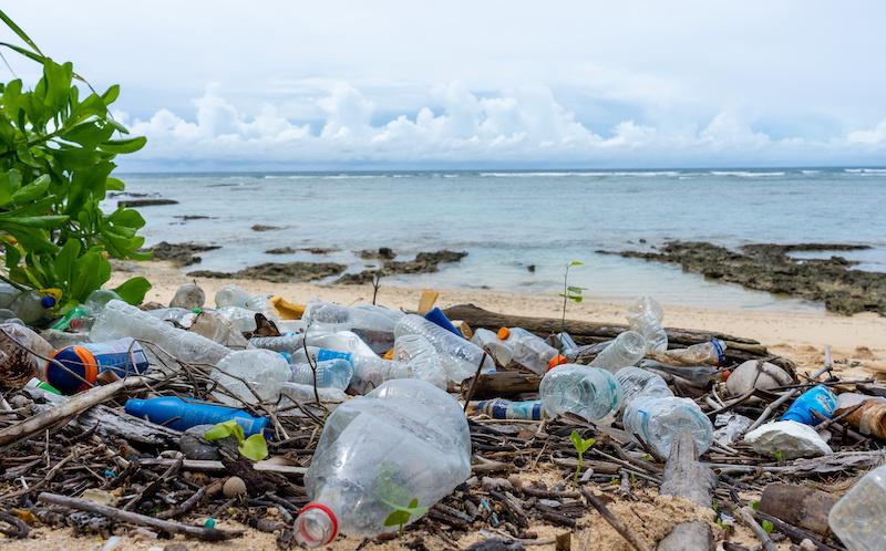 Marine plastic pollution research