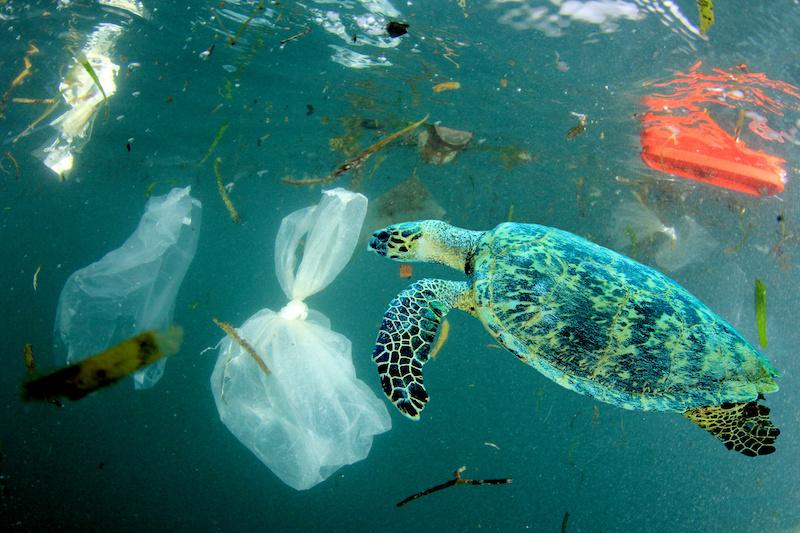 Marine plastic pollution research