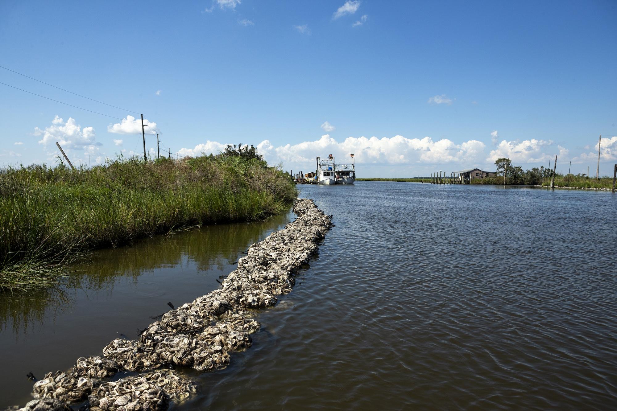 oyster reefs in Plaquemines Parish