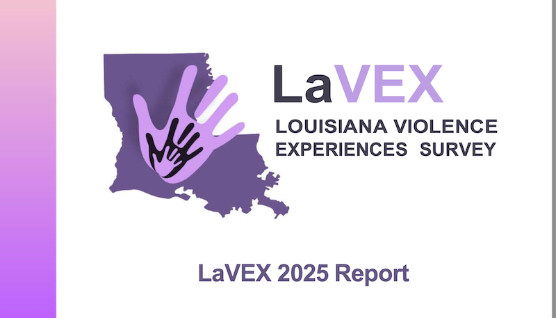 LaVEX 2025 Report