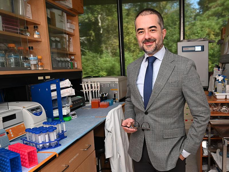 Amir Ardeshir, PhD, DVM