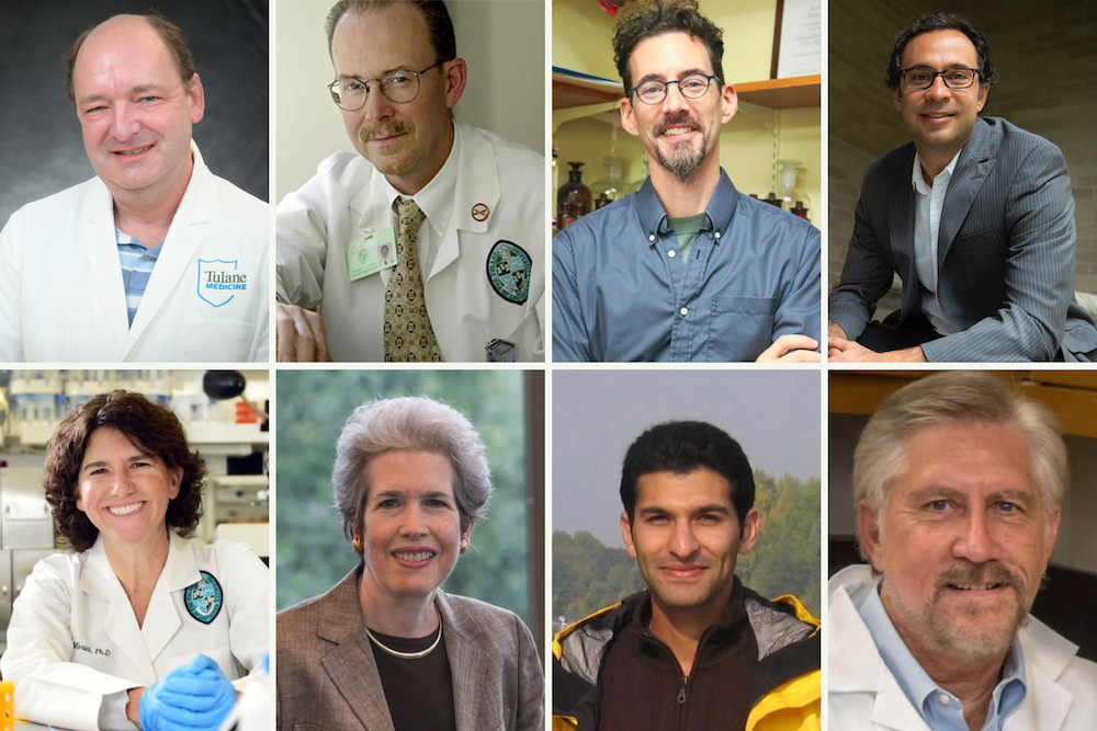 Matthew E. Burow, John D. Clements, Scott M. Grayson, Michael J. Moore, Lisa Morici, Kim C. O'Connor, Noshir S. Pesika, James E. Zadina