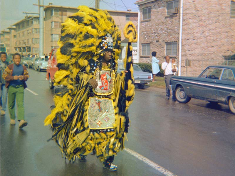 Mardi Gras Indian-Draper Collection