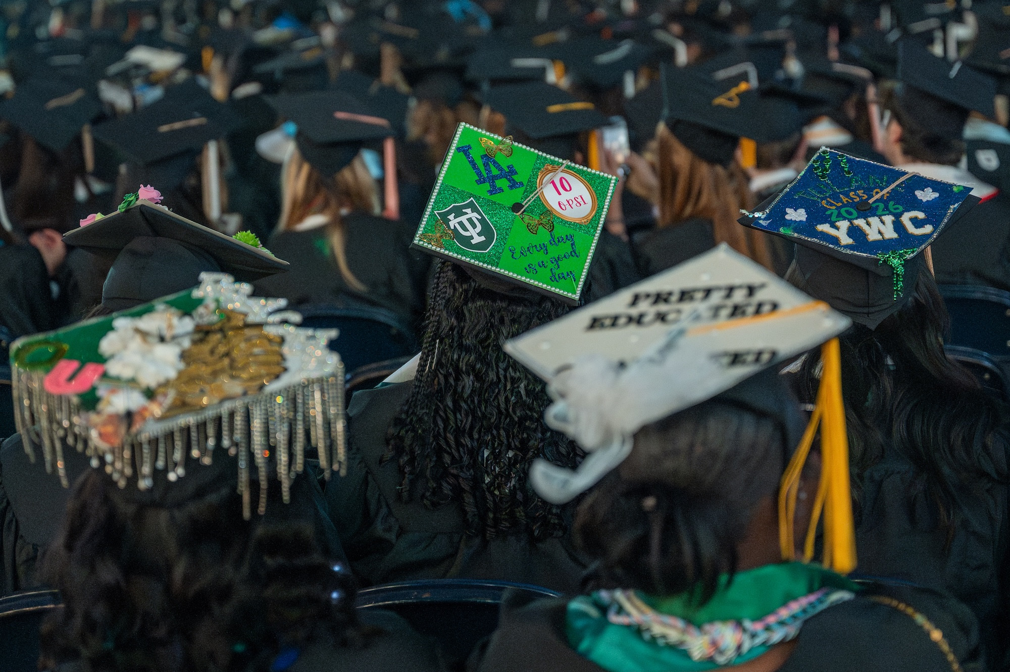 Graduates in black gowns and elaborately decorated caps, viewed from behind at a ceremony.
