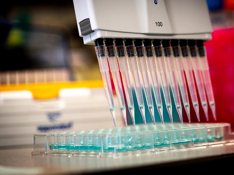 Tulane gift will establish a fund for Emerging Research in Infectious Disease. Tulane gift will establish a fund for Emerging Research in Infectious Disease.