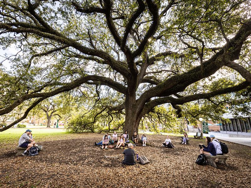 Campus scenic Campus scenic