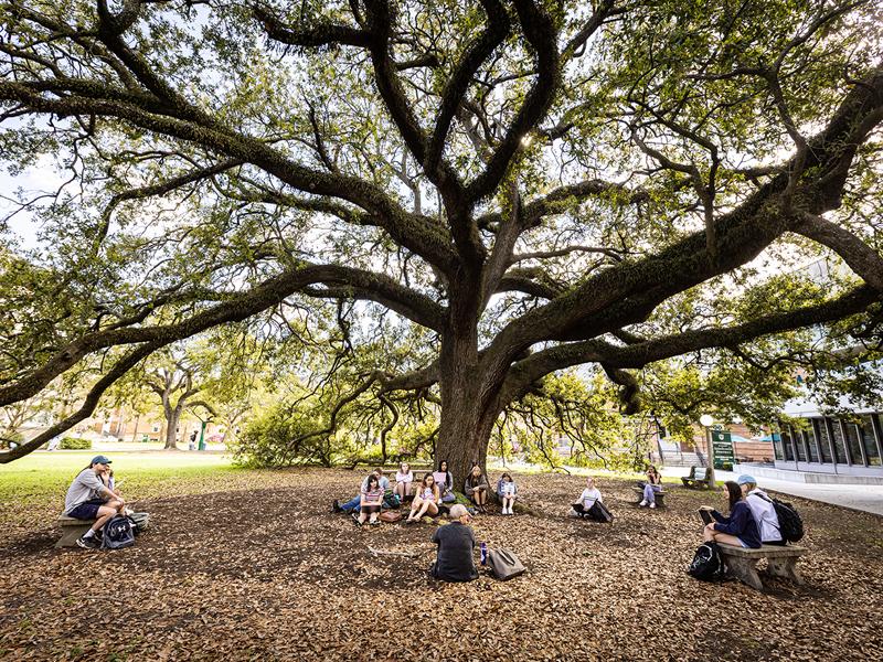 Campus scenic