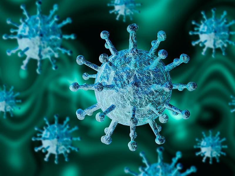 coronavirus coronavirus