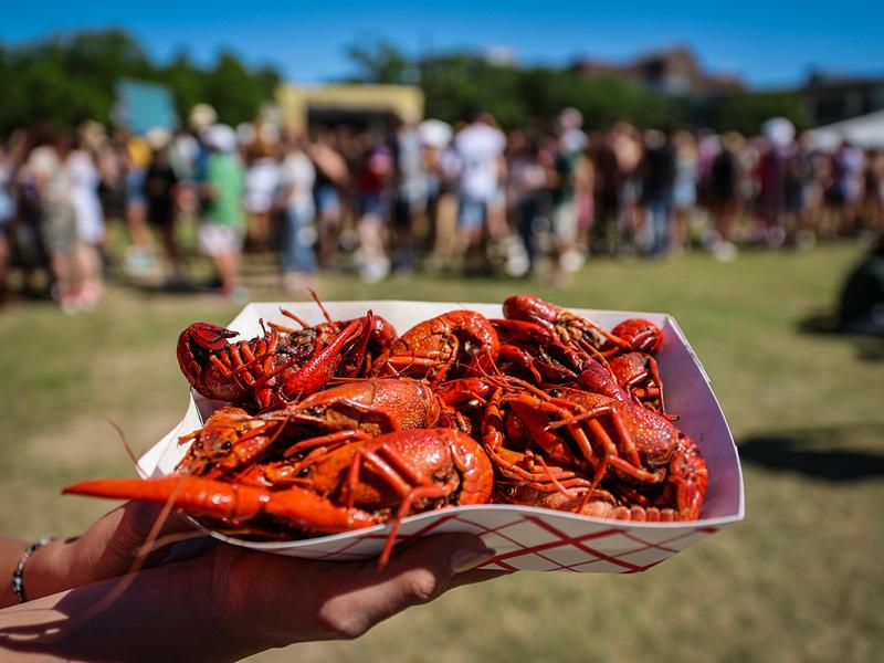 The line for crawfish stretches across the Berger Family Lawn.