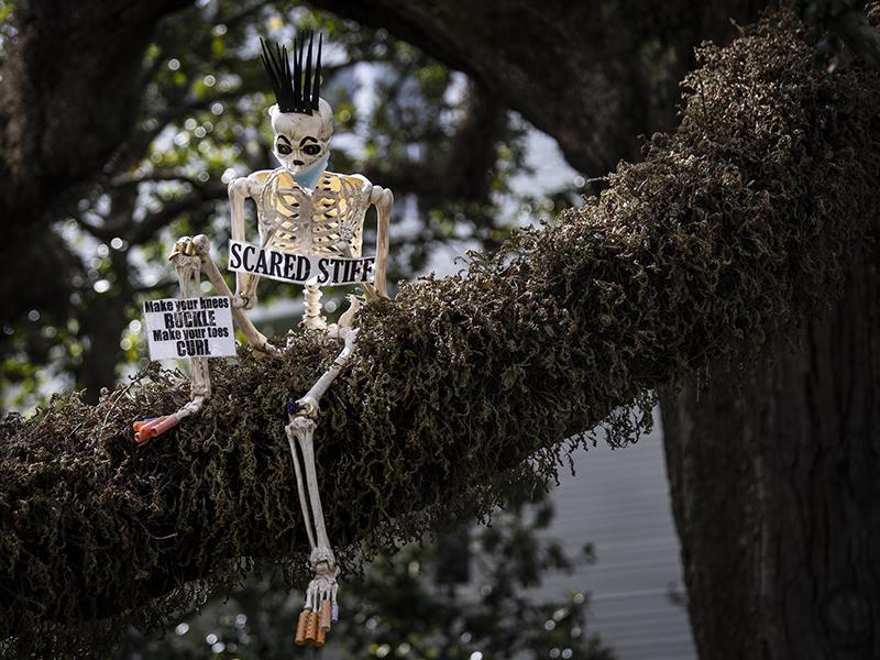 Skeletons on 6000 St. Charles Ave.