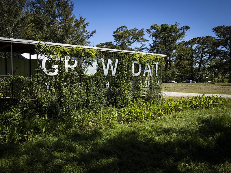 Volunteers cleanup at GrowDat Youth Farm in City Park