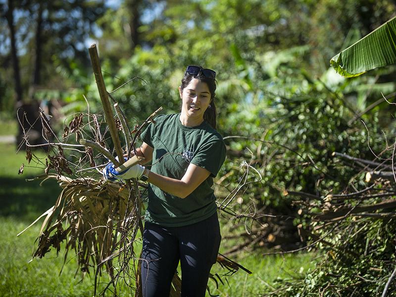 Volunteers cleanup at GrowDat Youth Farm in City Park