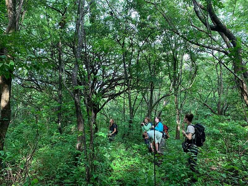 Kathy Jack and her team collect primate data in Costa Rica