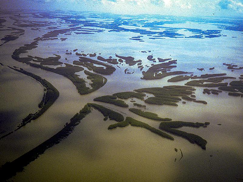 Louisiana coastline