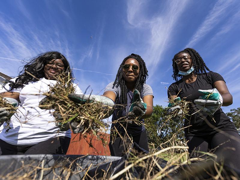 Students Adia Handy, Taylor Hurt, and Micailah Guthrie help clean up the yard around the church. 