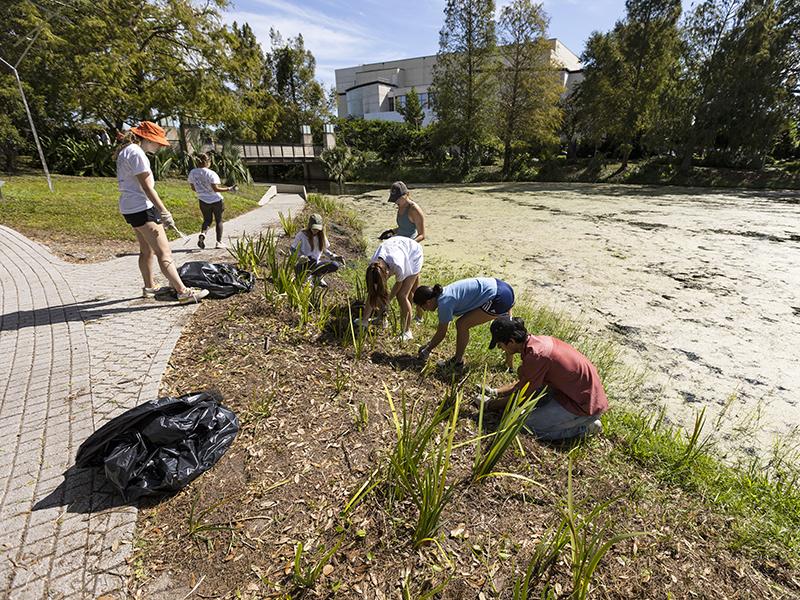 Students clean up at New Orleans City Park. 