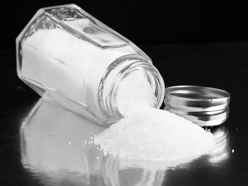 Saltshaker Saltshaker