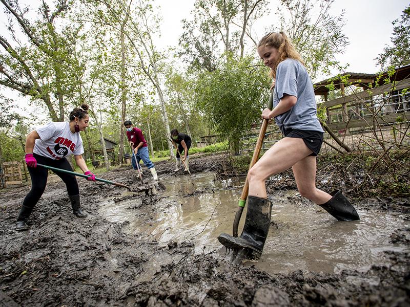 Architecture graduate students Ella Jacobs, Karan Sharma, Mandii Malhotra and Ellen Feringa, left to right, dig a diversion pond, one of several on the farm that help reroute water after a heavy rainfall. 