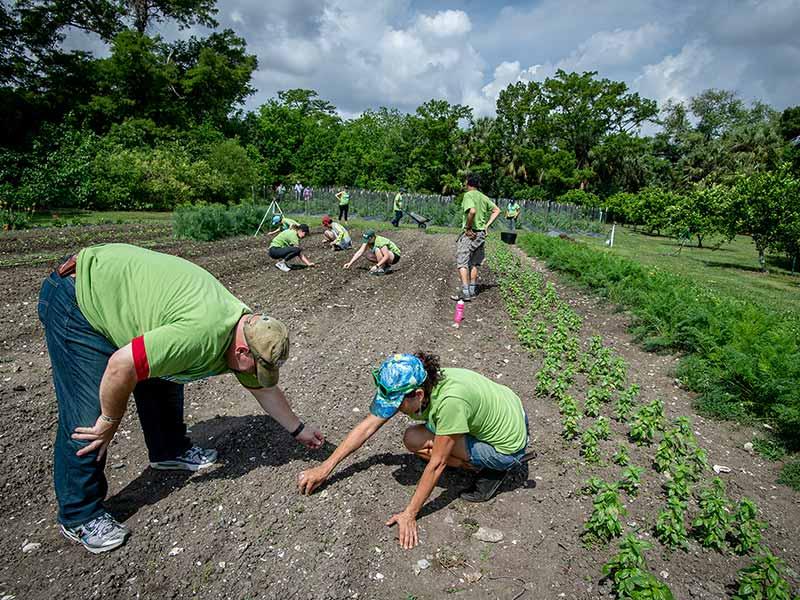 Wave of Green participants from Tulane University