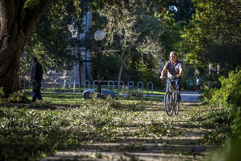 Tulane campus