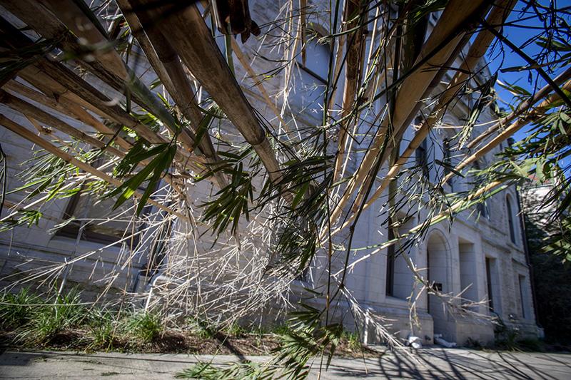 Tulane campus